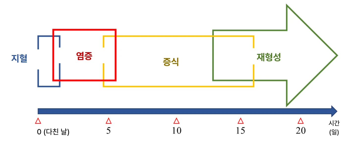 임플란트 수술 후 붓기와 통증, 며칠까지가 정상인가요?